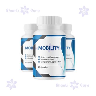 বাংলাদেশ এ Mobility ক্যাপসুল