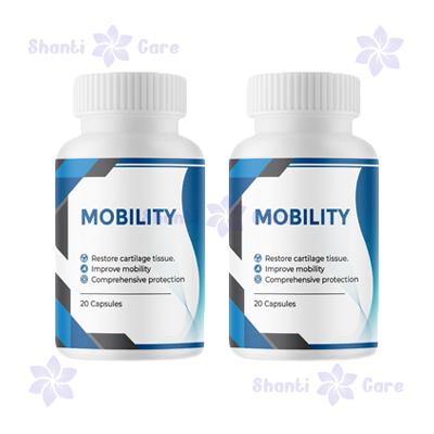 বাংলাদেশ এ Mobility ক্যাপসুল