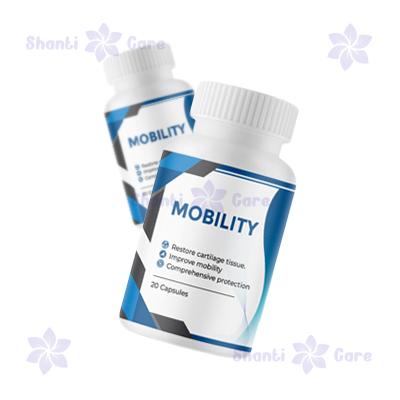 বাংলাদেশ এ Mobility ক্যাপসুল